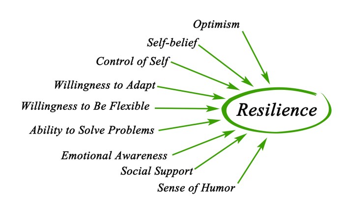 How to Meditate for Strengthening Your Emotional Control and Resilience